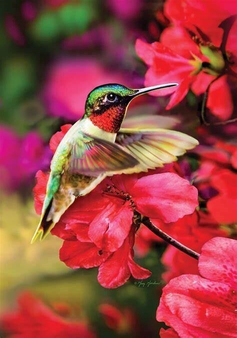 Floating Hummer Garden Flag