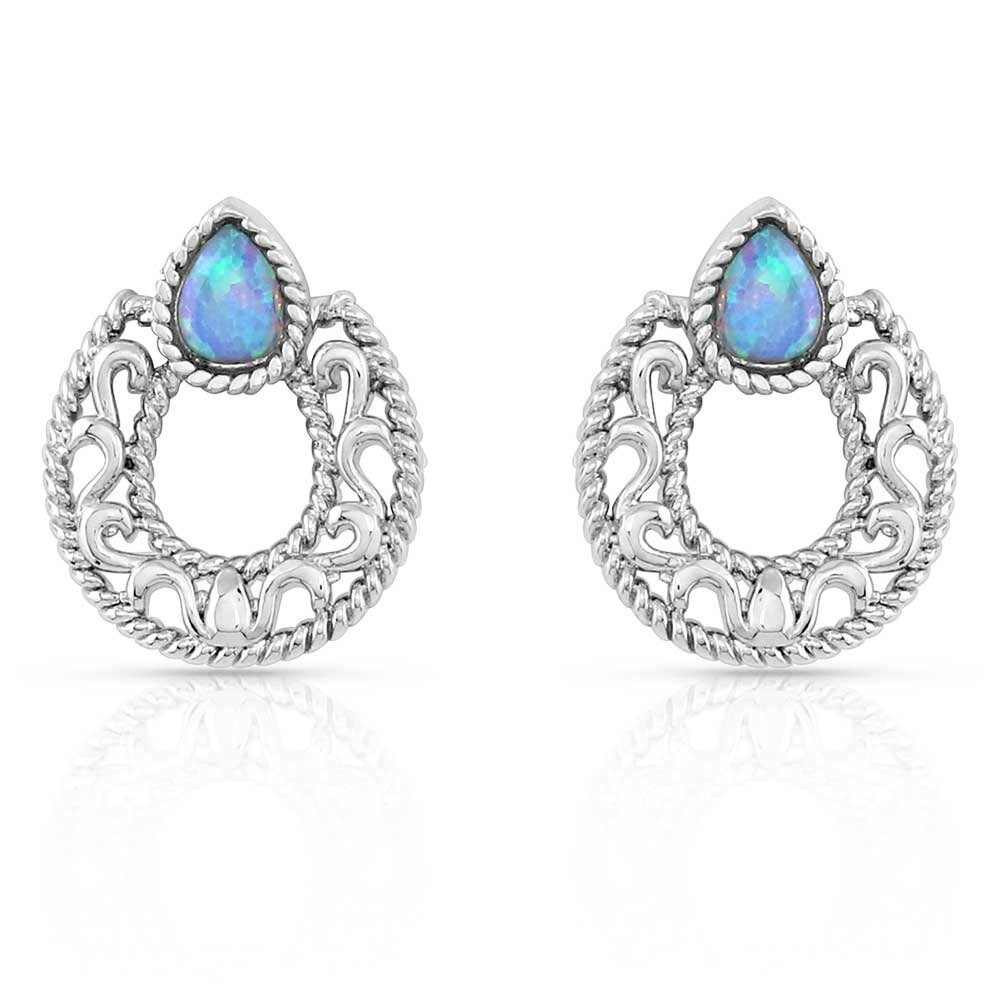 ERRoped in Horseshoe Granite Mountain Hot Shots AZ Flags Galore