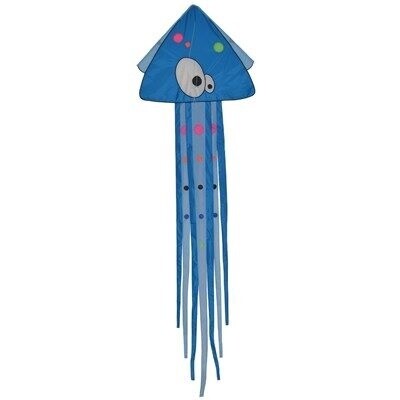 Misc Kite