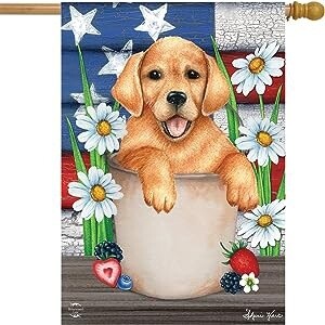 American Lab House Flag