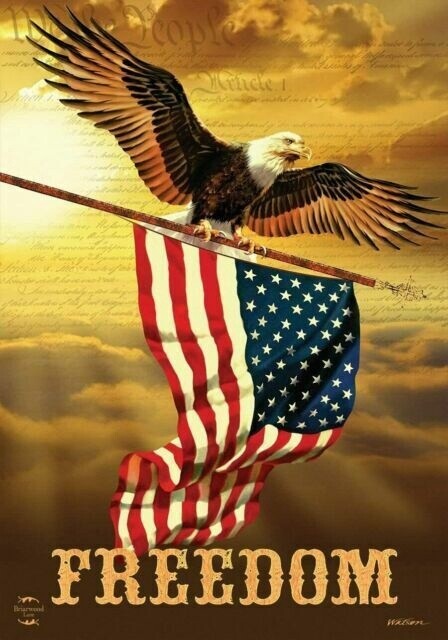Freedom Eagle House Flag