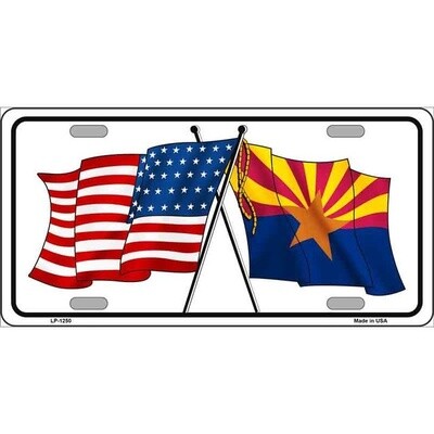 AZ and US License Plate