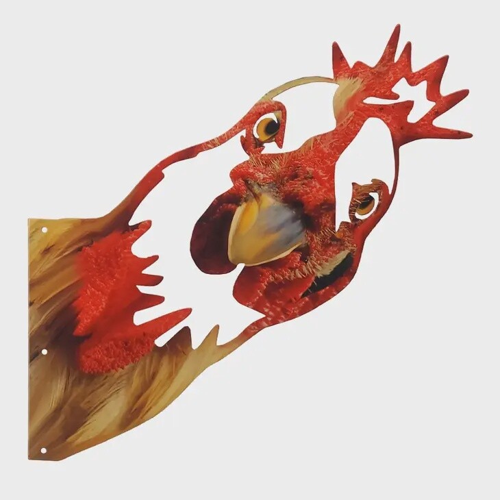Peeking Chicken Wall Art