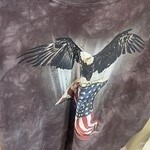 The Mountain T Shirt Flag Holding Eagle, Size: S