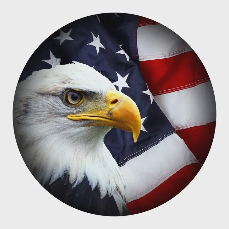 Eagle Flag Round Wall Art