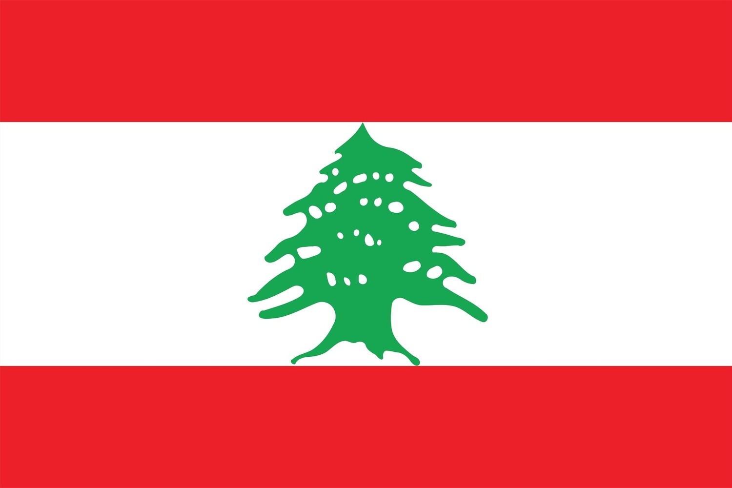 Lebanon Nylon Flag, Size: 2&#39;x3&#39;