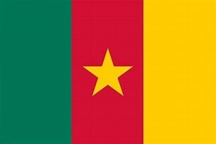 Cameroon Nylon Flag, Size: 2'x3'