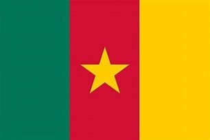 Cameroon Nylon Flag
