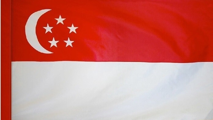 Singapore Nylon Flag