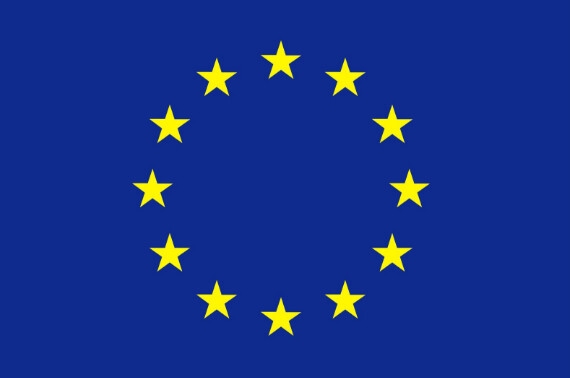European Union Nylon Flag
