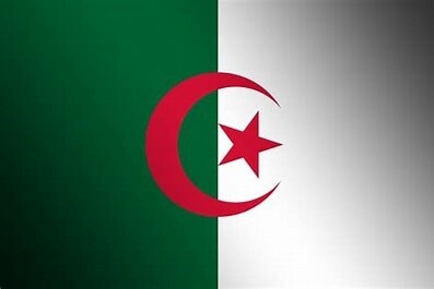 Algeria Nylon Flag