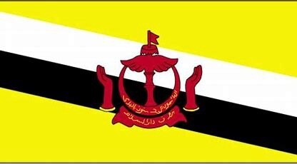 Brunei Nylon Flag, Size: 2'x3'