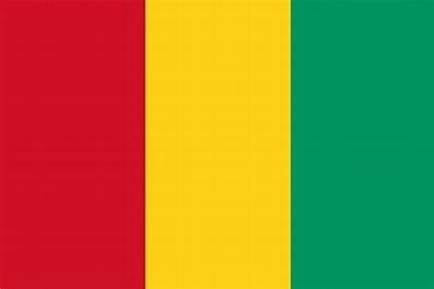 Guinea Nylon Flag