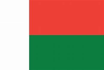 Madagascar Nylon Flag