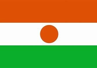 Niger Nylon Flag