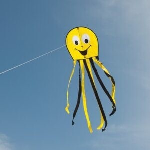 Misc Kite, Pattern: Smiley Face