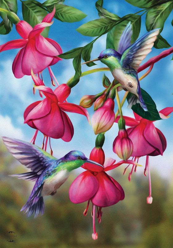 Flight of the Hummingbirds House Flag