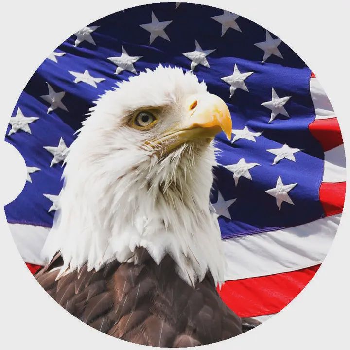Natural Eagle US Flag Car Coaster