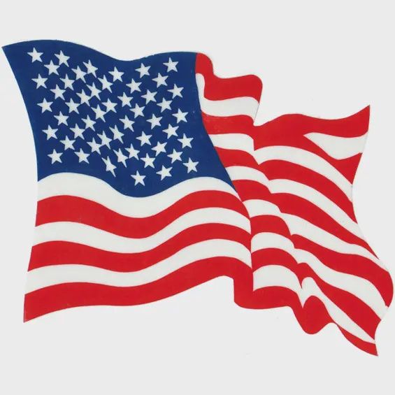 USA with Wind Sticker