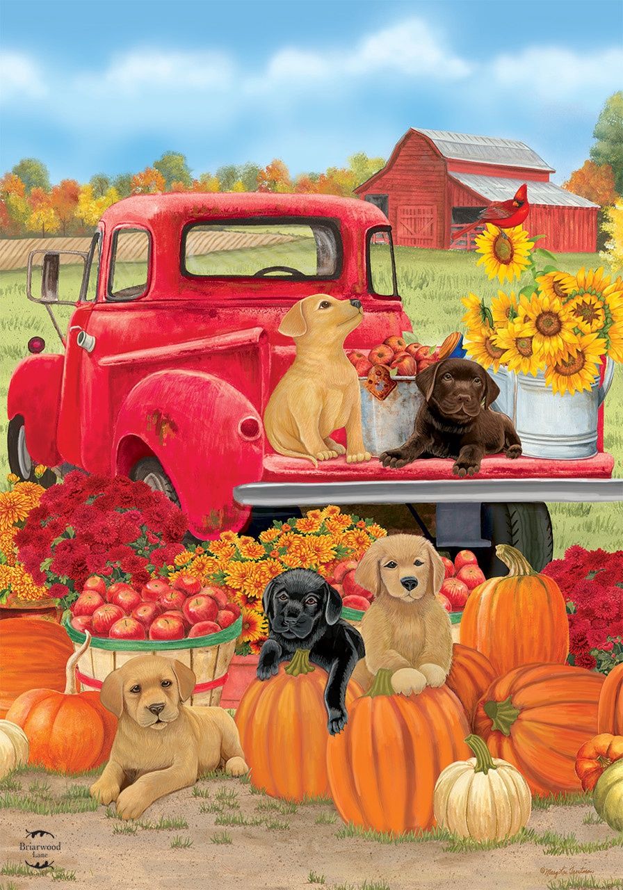 Fall Puppies Garden Flag