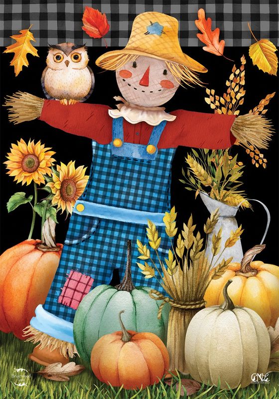 Friendly Scarecrow Garden Flag