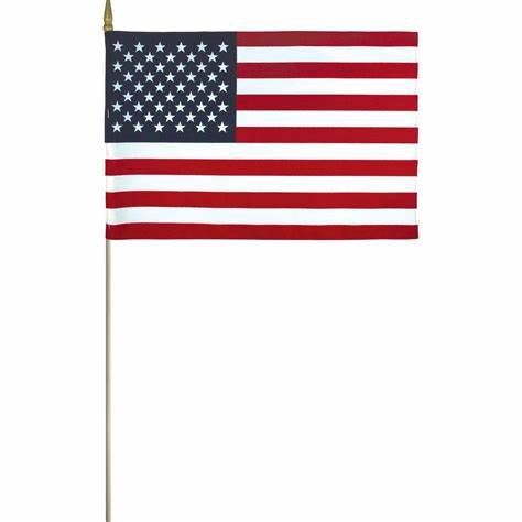 US Flag Mounted