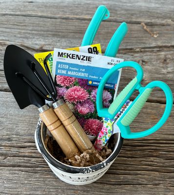Flower Pot