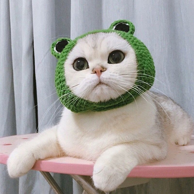 Crochet Frog Hat