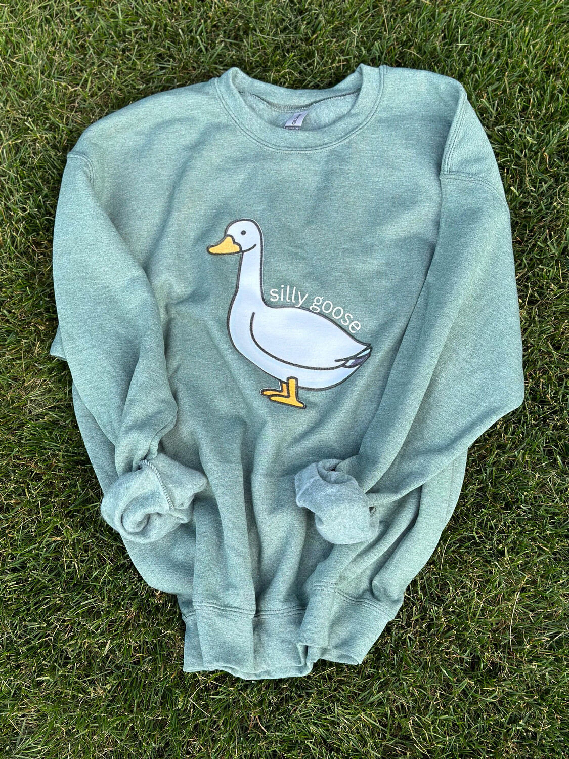 Silly Goose University