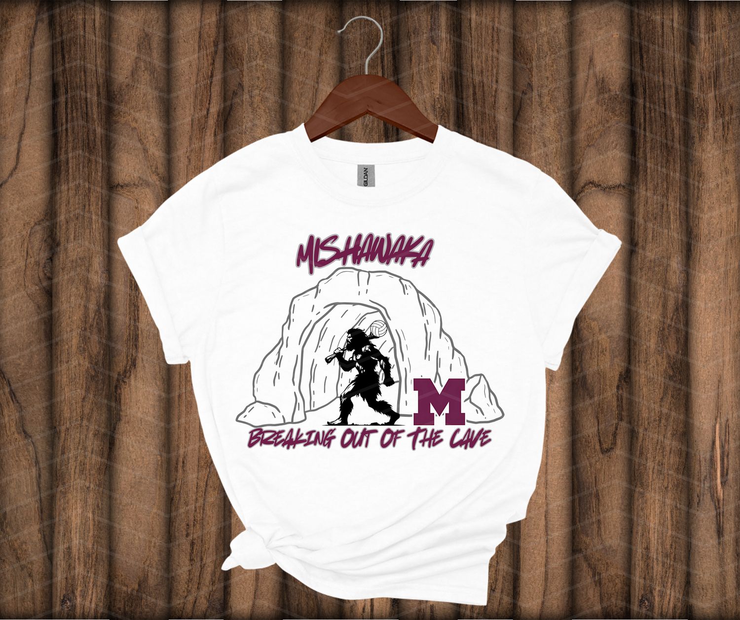 Mishawaka Volleyball