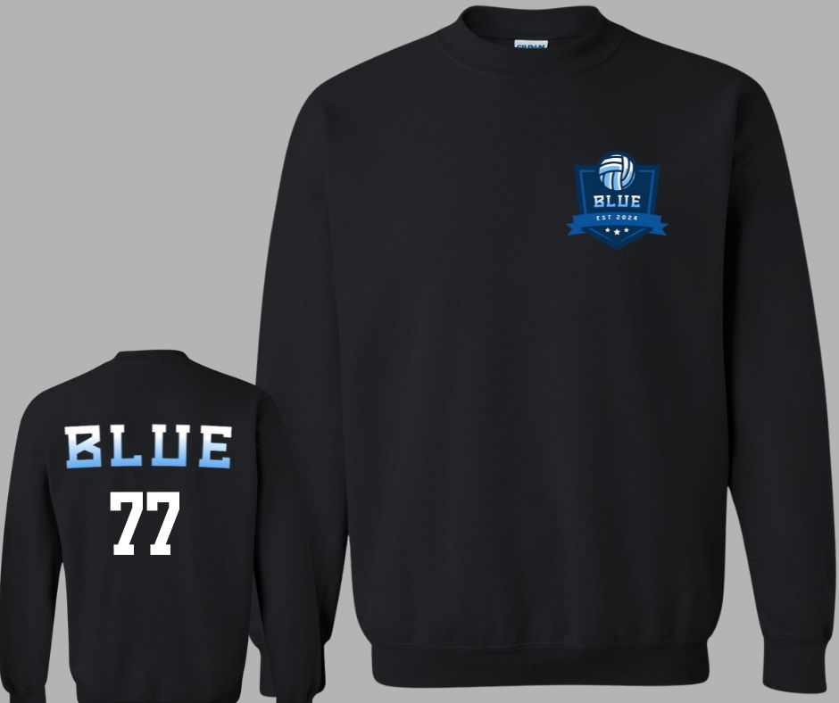 Blue Volleyball Academy Crew