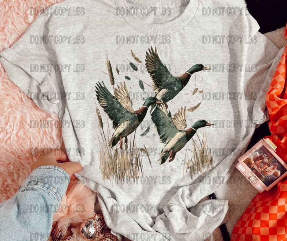Country Geese