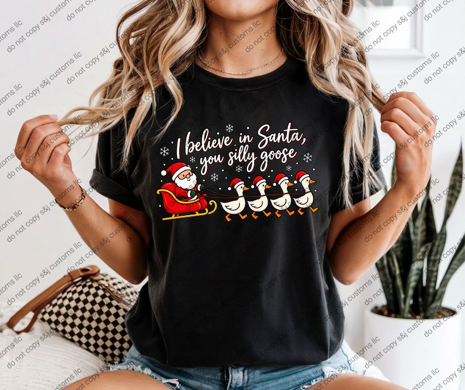Santa's Goose