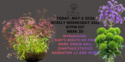 WEEK 20 2026