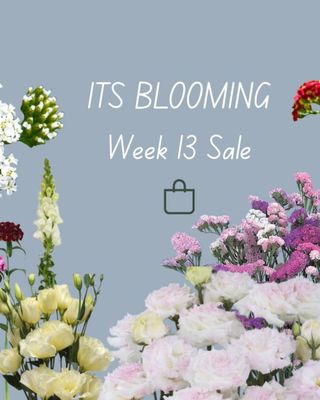 Week 13 2026