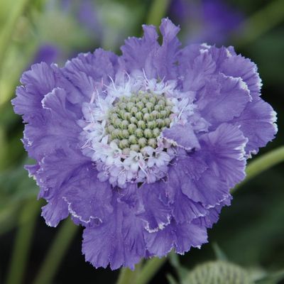 WEEK 14 2026