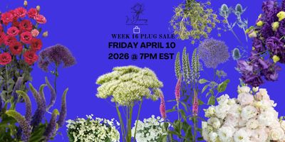 WEEK 16 2026