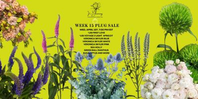 WEEK 15 2026