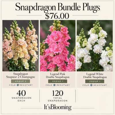 WEEK 40 WED SEPTEMBER 23 2026
