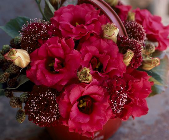 Lisianthus Arena 3 Red