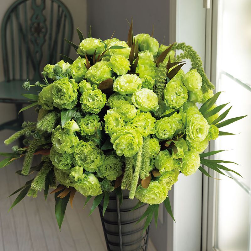 Lisianthus Rosanne  1 Green