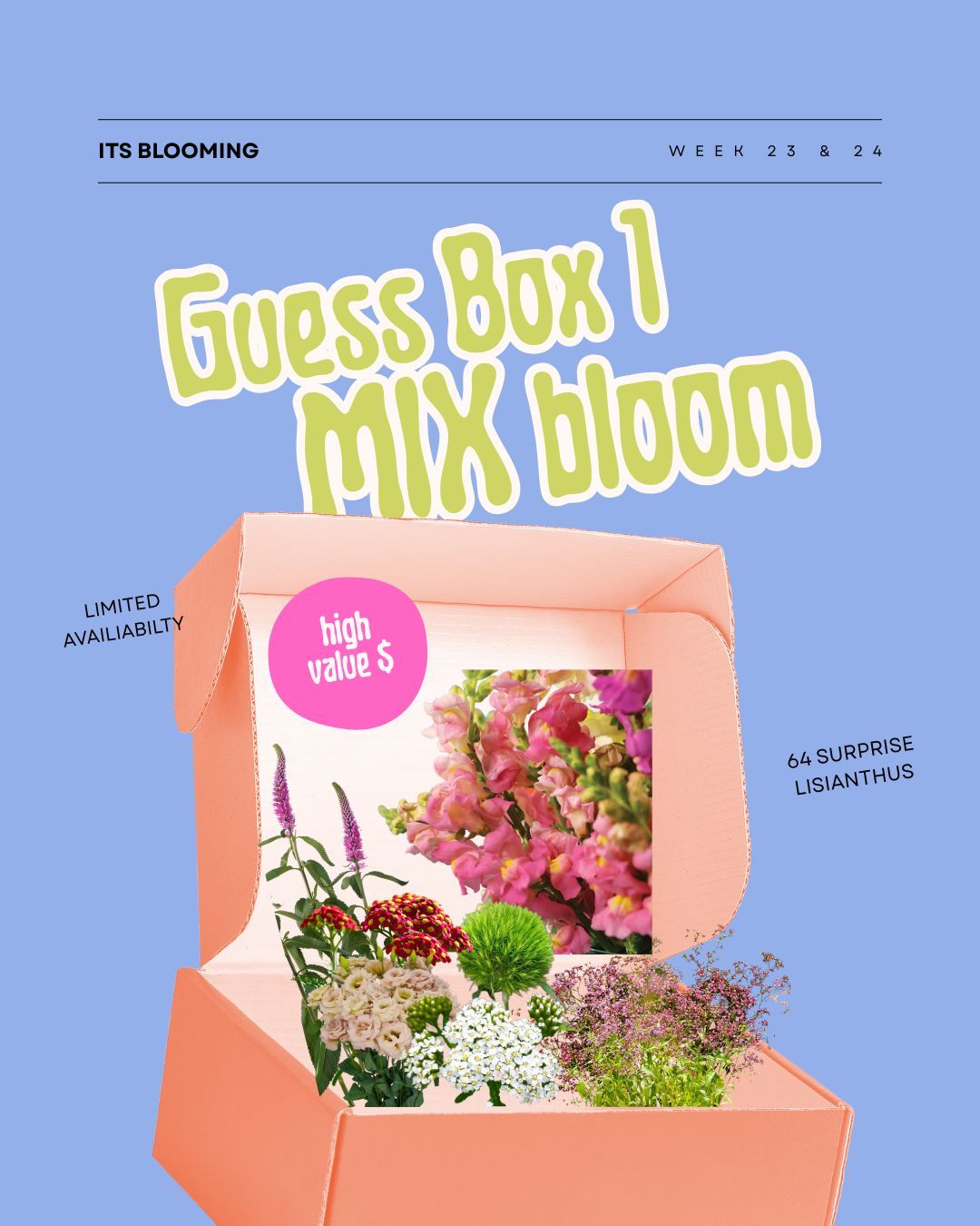 GUESS BOX 1 MIX BLOOM