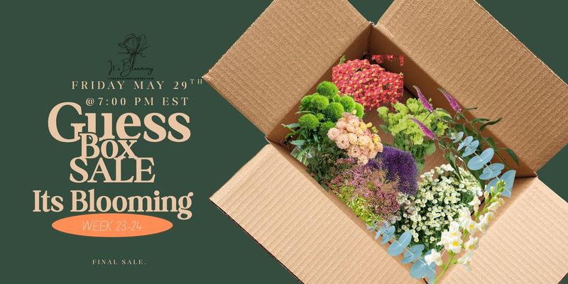 GUESS BOX 1 MIX BLOOMS