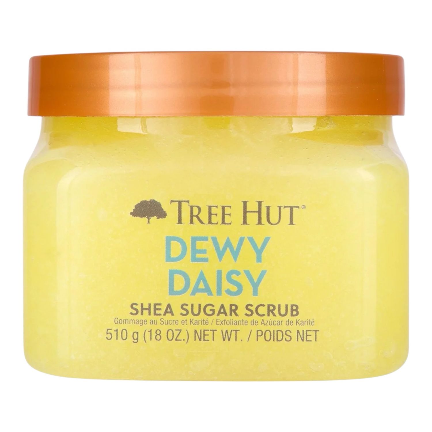 Dewy Daisy