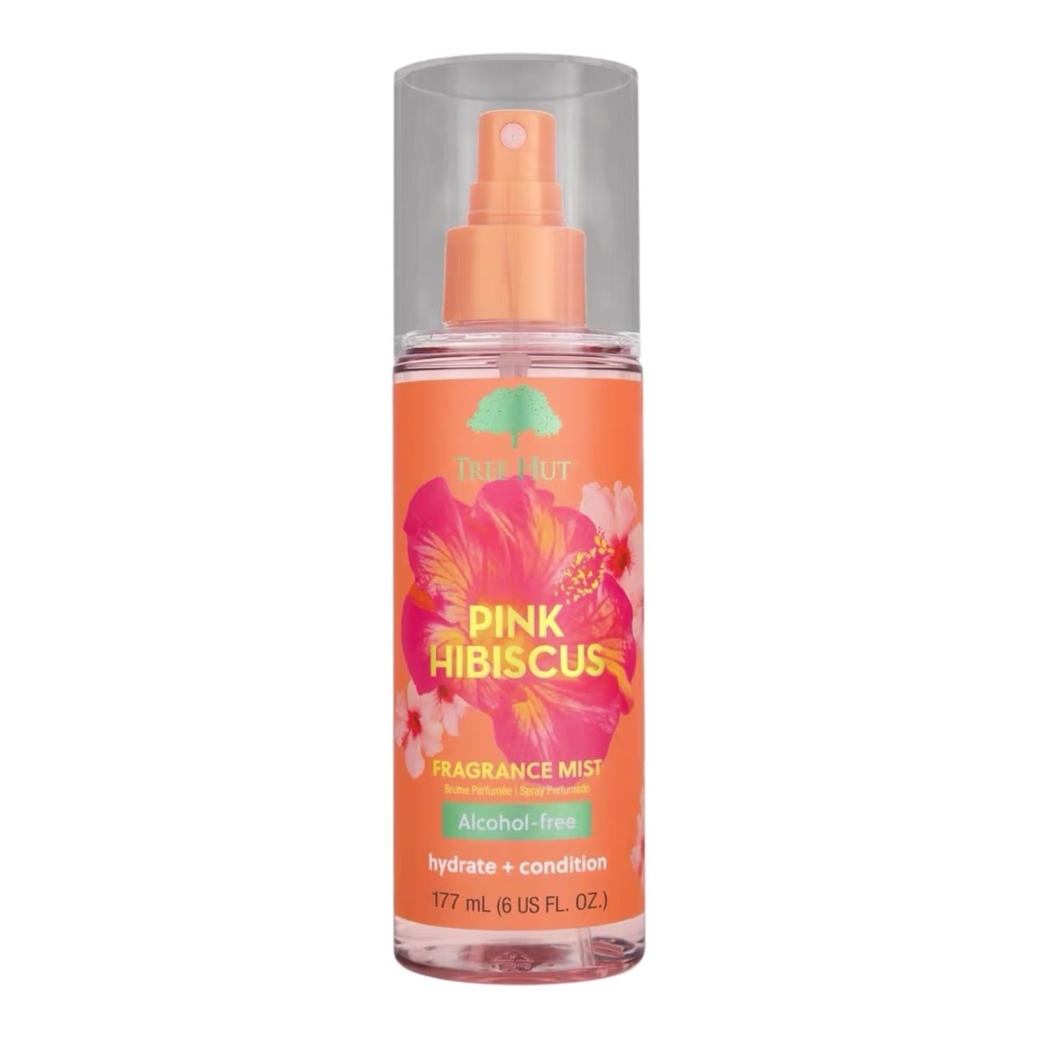 Pink Hibiscus