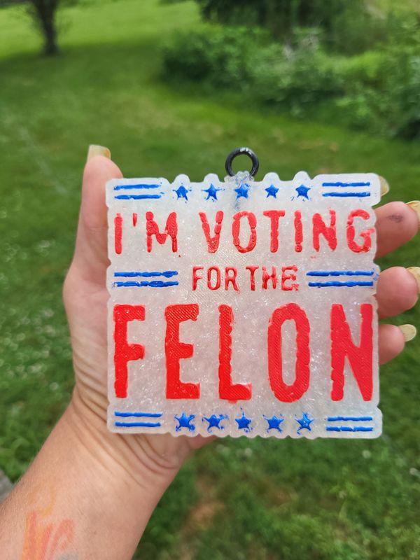 I&#39;m voting for a Felon car freshie