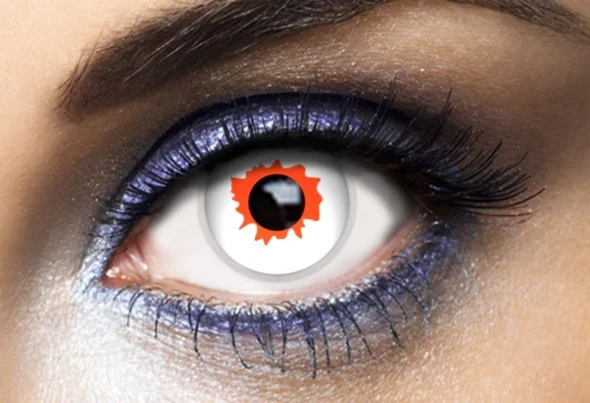 LENTILLES BLANCHES AVEC SANG