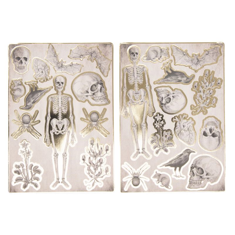 STICKERS CABINET DE CURIOSITES X25 PCS