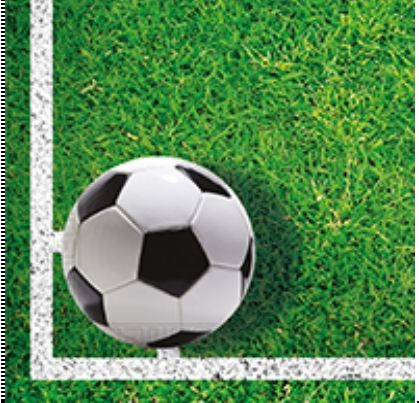 SERVIETTES BALLONS DE FOOT X16