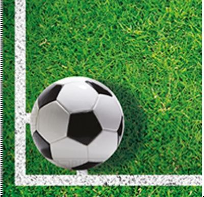 SERVIETTES BALLONS DE FOOT X16